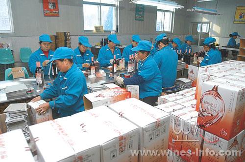 伊犁葡萄酒厂带动农户户均增收7000元