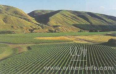 纽西兰北岛酒乡之旅:中国葡萄酒资讯网