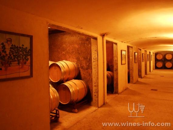 慕希尔--西班牙葡萄酒新兴地区:中国葡萄酒资讯