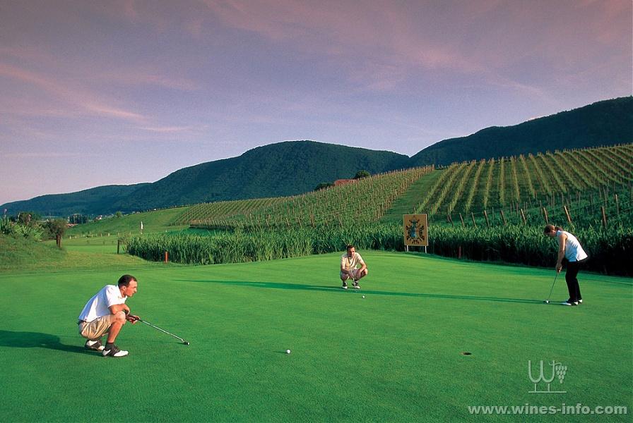 斯洛文尼亚葡萄酒和高尔夫的微醉:中国葡萄酒