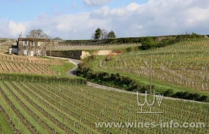 法国:圣达美隆产区分级制度未获通过:中国葡萄