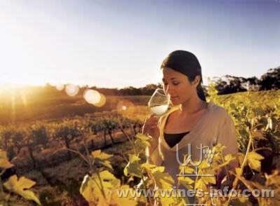 不简单的品美酒佳肴澳洲酒庄之旅:中国葡萄酒