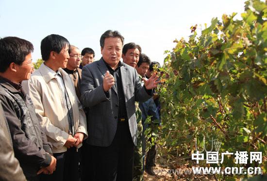 宁夏葡萄酒产业集群势头强劲