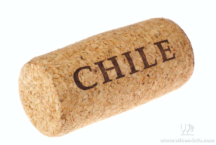 英国:智利葡萄酒的第一大市场:中国葡萄酒资讯