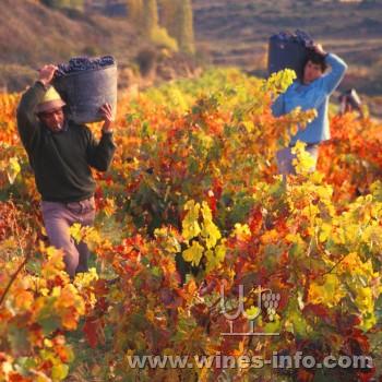 2011年西班牙葡萄酒品质优良:中国葡萄酒资讯