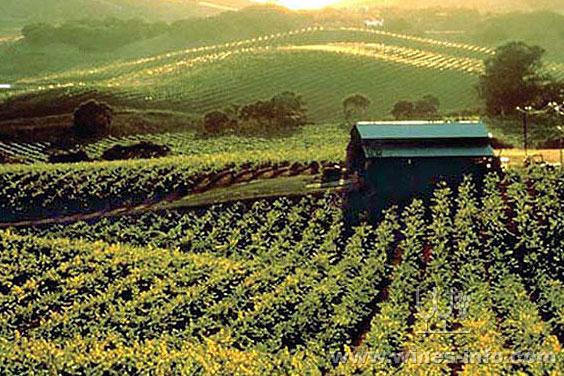 美国索诺玛葡萄酒法定产区的两个最新变化