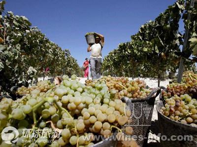 世界葡萄酒庄园之旅:中国葡萄酒资讯网
