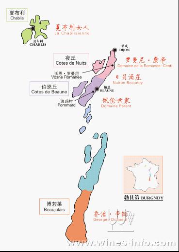 低调奢华勃艮第:中国葡萄酒资讯网