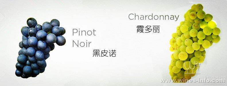 勃艮第5大产区的葡萄酒风格:中国葡萄酒资讯网