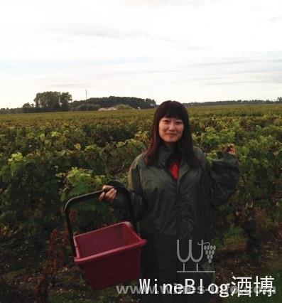 2013波尔多酒庄实习日志 (二):中国葡萄酒资讯