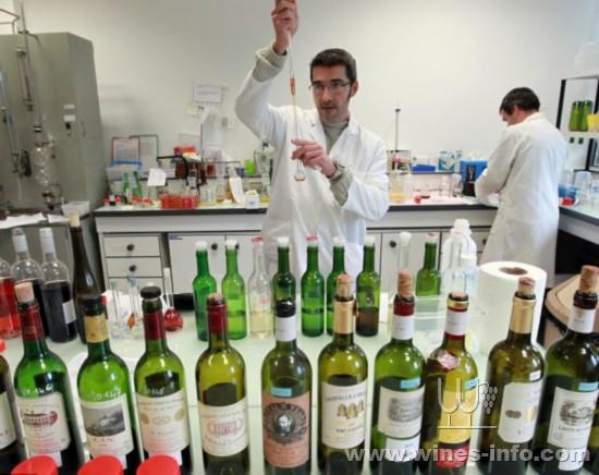 法实验室制假名酒 富翁被骗三千万:中国葡萄酒