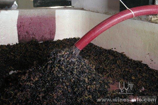 最全红葡萄酒酿造过程(附高清实景图):中国葡萄