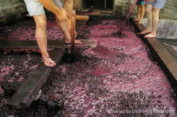 最全红葡萄酒酿造过程(附高清实景图)