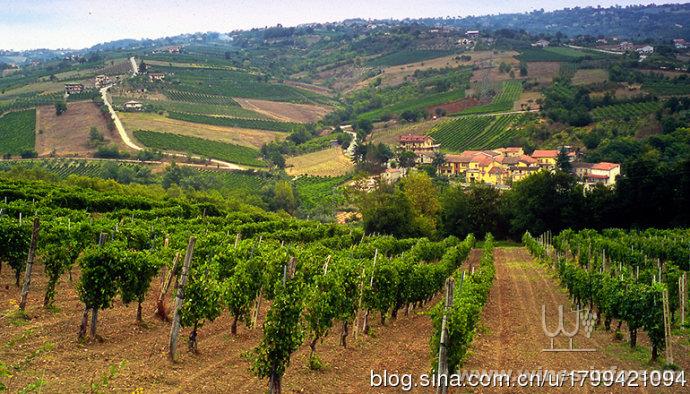 情迷意大利之坎帕尼亚(Campania)葡萄酒产区