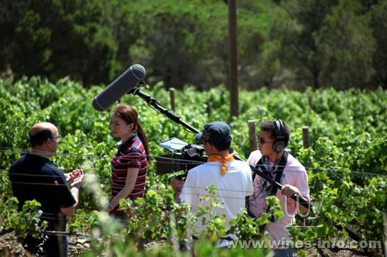 萄酒纪录片《收获季》获葡萄牙杜罗国际电影节