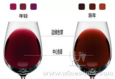 看酒的门道:中国葡萄酒资讯网