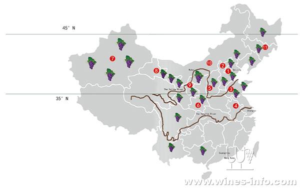 通过数据看中国与西班牙的葡萄酒市场:中国葡