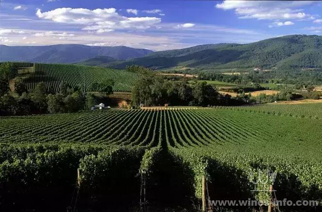 维多利亚州雅拉谷 yarra valley, victoria