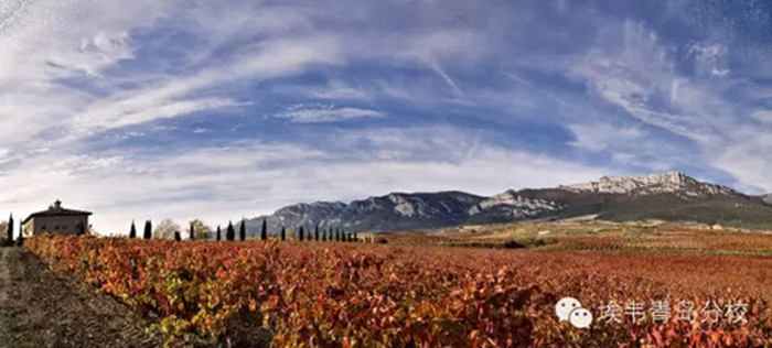 La Rioja Alta大师班及晚宴:中国葡萄酒资讯网(