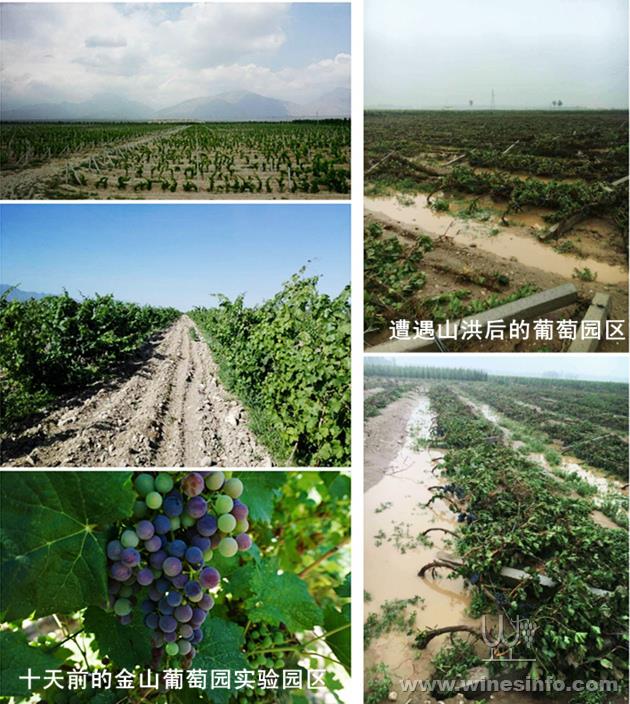 宁夏人口规划_宁夏回族人口分布(2)