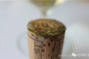 点击查看全图