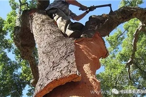 点击查看全图