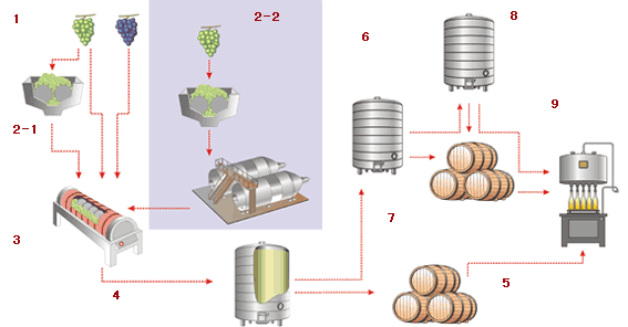 各种葡萄酒酿造工艺过程